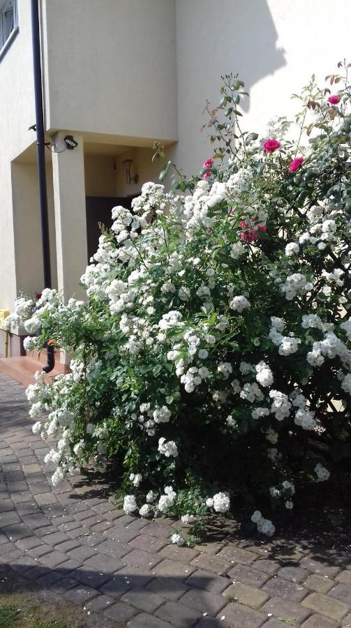 Villa Honoratka Z Prywatnym Polem Do Gry W Mini Golf 里沃 外观 照片