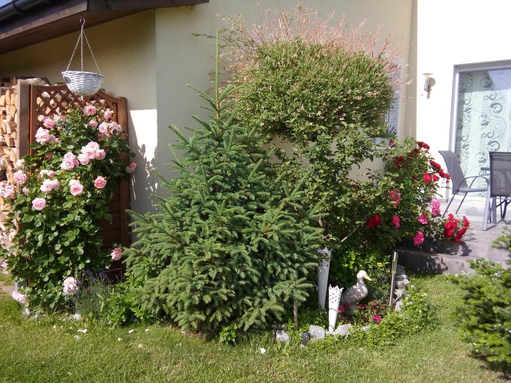 Villa Honoratka Z Prywatnym Polem Do Gry W Mini Golf 里沃 外观 照片